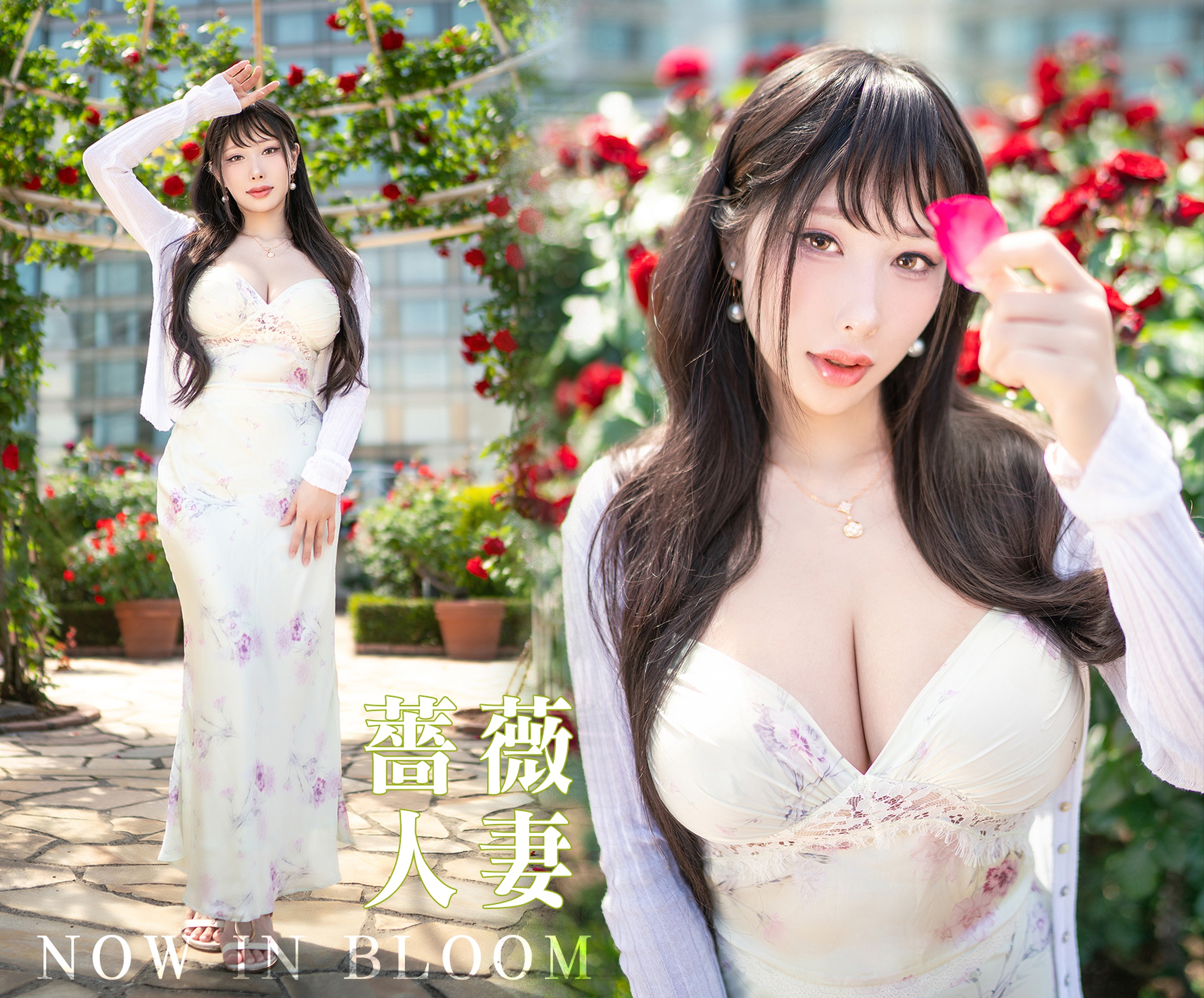 图片[1]-雨波HaneAme – NO.463 25年08月订阅 原创 玫瑰刚好绽放 [33P]-XikXak